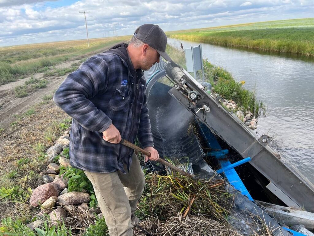 A farmer in a ball cap and flannel chore coat uses a rake to clear vegetation from an irrigation intake on an irrigation canal near Outlook, Saskatchewan.