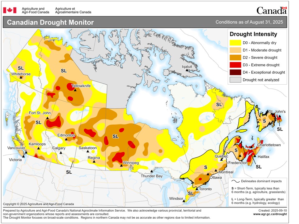AM Market Report – September 15, 2025
