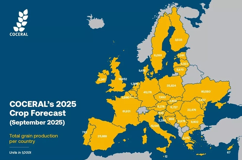 AM Market Report – September 29, 2025