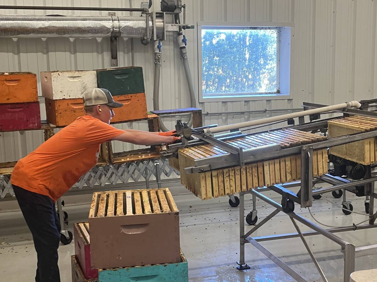 A worker at a honey processing facility loads 