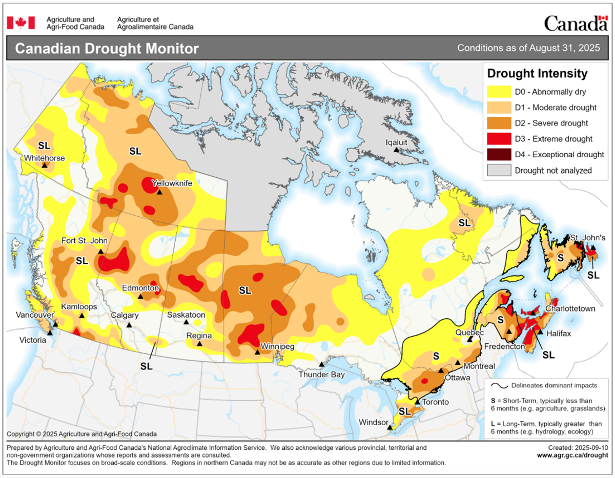 The most recent map (August 31, 2025) from the Canadian Drought Monitor website showing much of the crop growing regions of the Prairies still suffering moderate to severe drought
