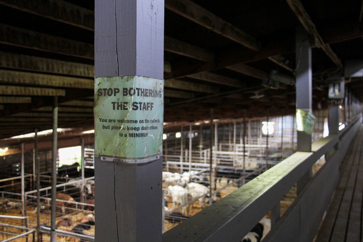 A sign on the catwalk warns visitors to the Grunthal Livestock Auction to not bother workers. 