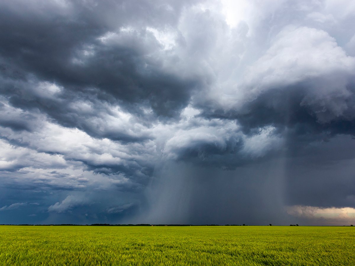 A stock photo of some dark storm clouds with an obvious downpour happening over farm land in the middle of the image.