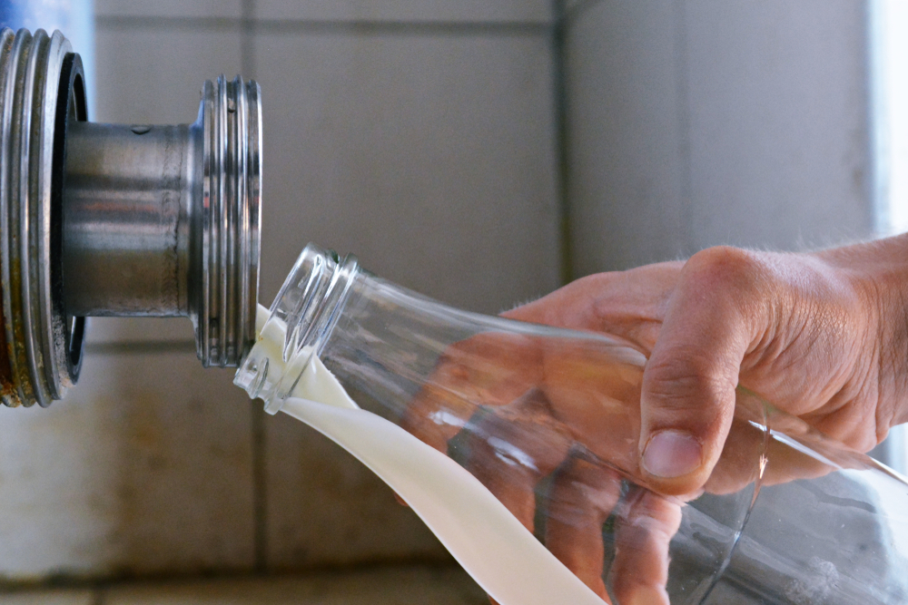 FSA launches precision fermentation innovation research programme