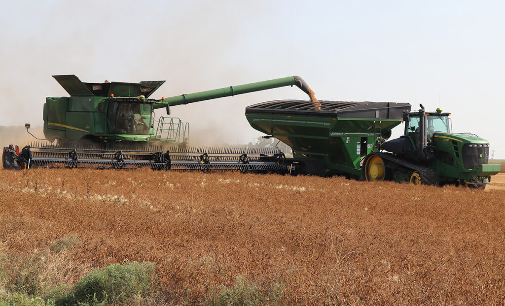 A john Deere combine augers peas into a hopper cart pulled by a large, tracked John Deere tractor.