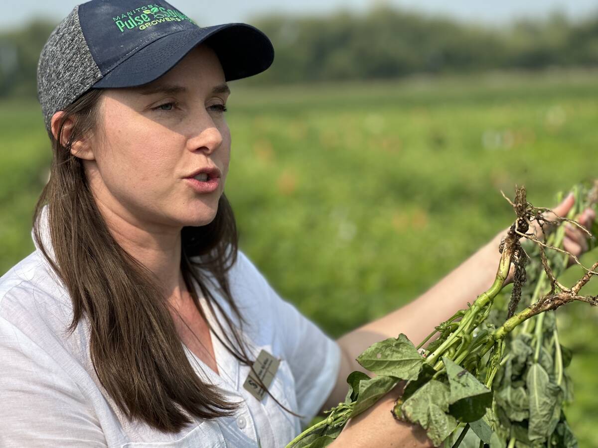 University of Manitoba research agronomist Kristen MacMillan discusses nodulation and nitrogen fixation in dry beans in front of her research plots in Carman, Man., in late July 2025.
