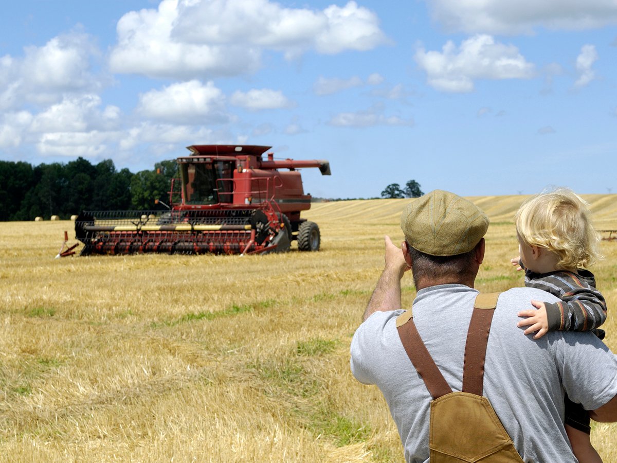 An older male farmer holds a young, blonde child and points toward a red combine in a recently-harvested wheat field about 40 metres away.