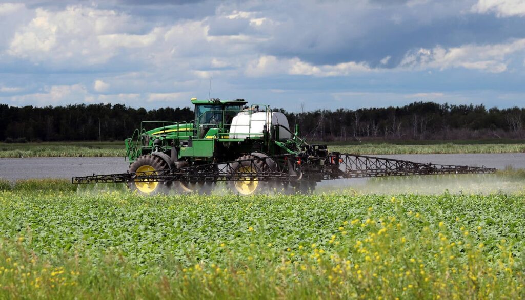 A modern, green high-clearance spayer is seen spraying a canola crop ahead of bolting.