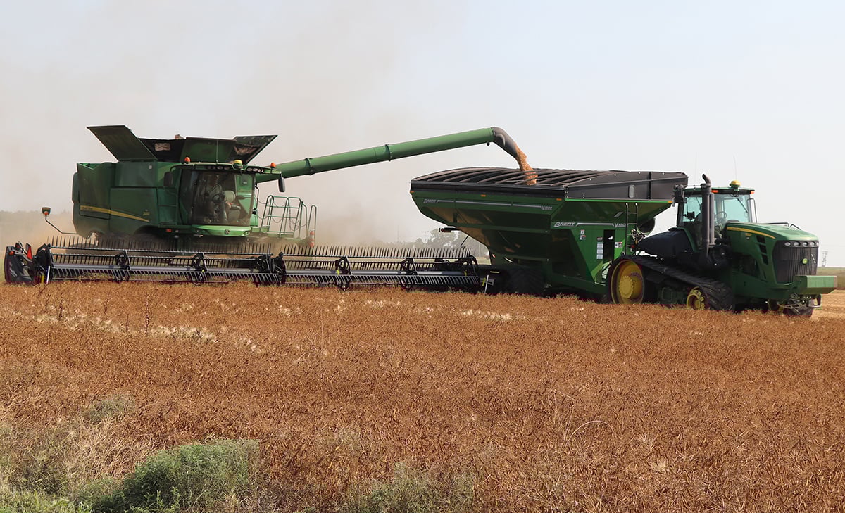 A john Deere combine augers peas into a hopper cart pulled by a large, tracked John Deere tractor.