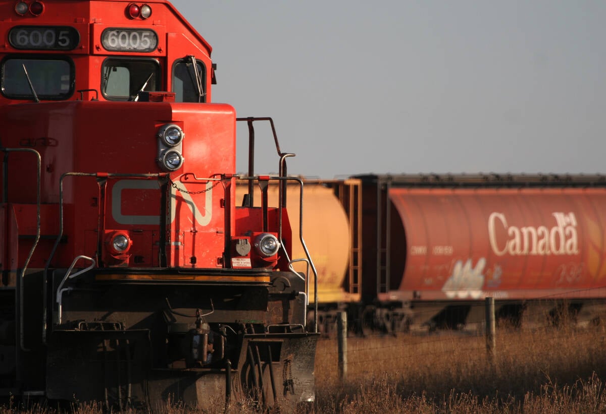 Photo of a CN grain train rounding a curve with the engine close in the foreground and the grain cars visible in the background.