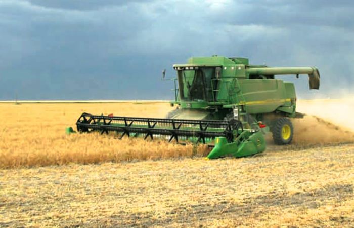 Good progress made in Sask. harvest