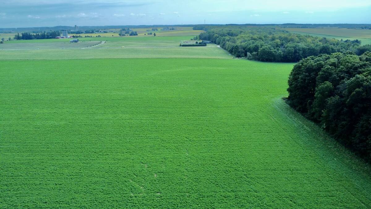 Ontario landscape photograph taken by drone.