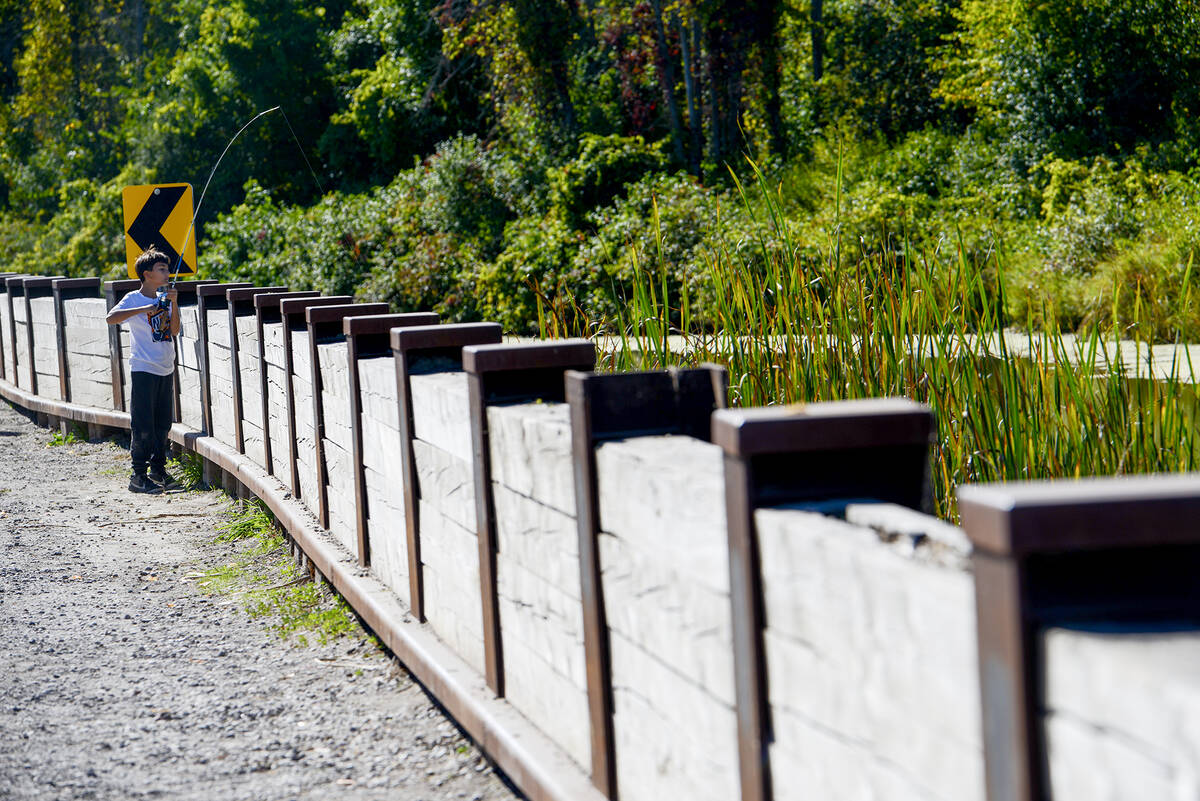 Francesco Leone, 11, of Vaughan, spends a relaxed afternoon fishing on the Holland River at the dyke opposite the Victor G. Bardwell Pumphouse, west of Highway 400 along Canal Road in Holland Marsh. The canal has been widened in this area, and the dyke wall reinforced and raised to reduce the effects of storm events. Photo: Diana Martin