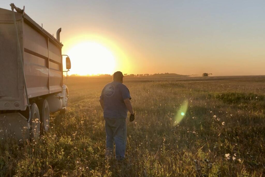 A man stands beside a grain truck, silhouetted against the setting sun, watching a combine harvest wheat in the distance.