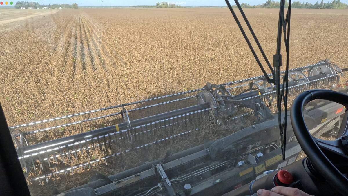 A view from inside the cab of Case IH's new AF11 combine showing its 50-foot straight cut header at work in a field of soybeans.