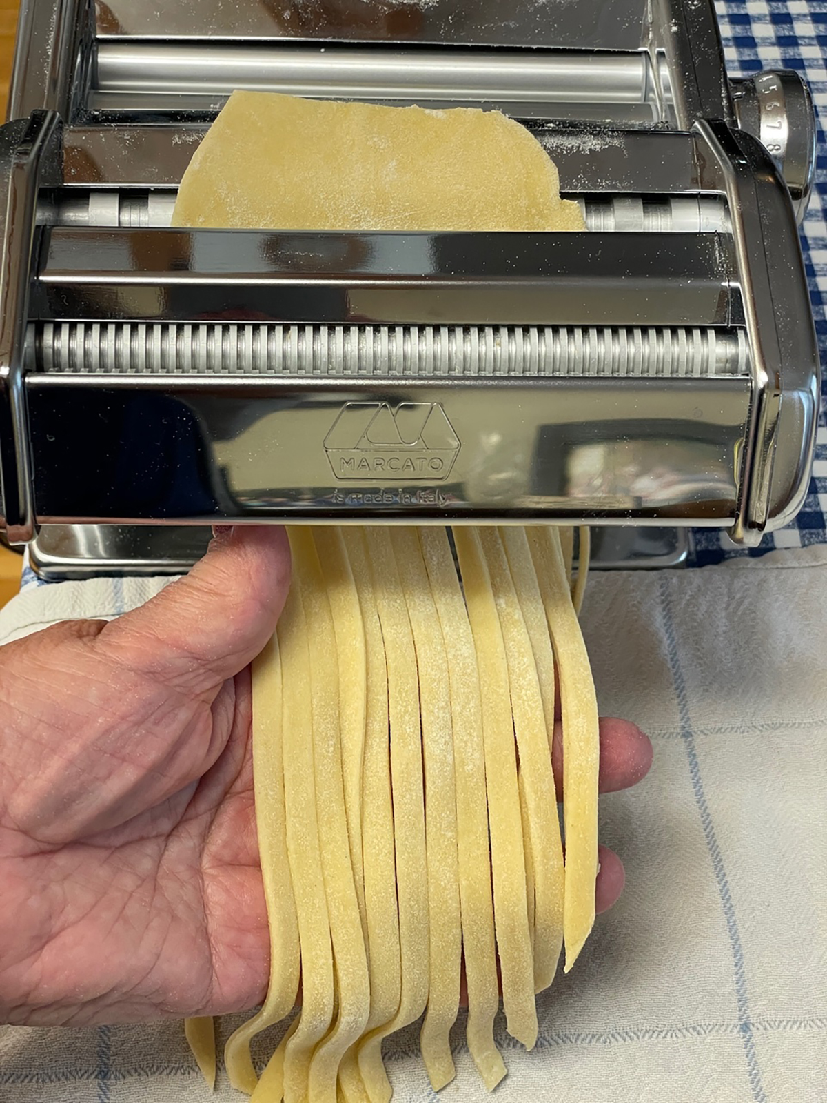 Close-up of a hand holding fresh cut fettuccini noodles as they come out of a silver pasta machine.