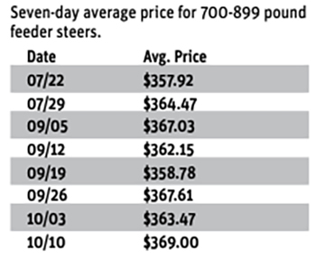 A simple chart showing the "Seven-day average price for 700-899 pound feeder steers" from July 22 to October 10.