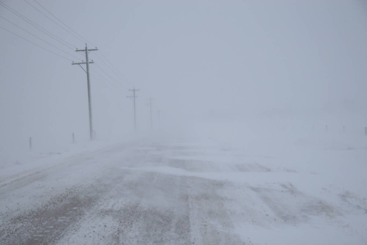 Looking down a gravel road in the middle of a blizzard. Visibility is very limited, snow has blown over the road and there are power poles and a barbed wire fence along the field on the left side of the road.