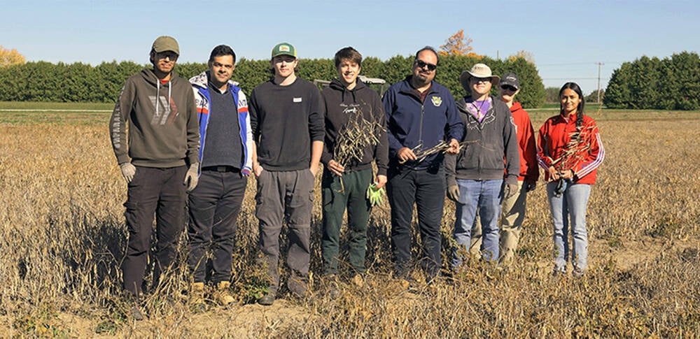This year marks the first major bean donation from University of Guelph researcher Yoosefzadeh Najafabadi and the Ontario Agricultural College's Dry Bean Breeding and Computarional Biology program, but not the last. Contributed, University of Guelph