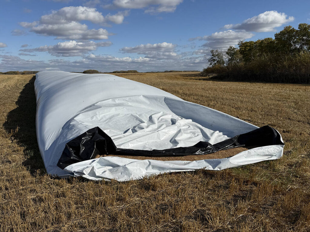 A white, poly grain bag sits in the stubble of a recently-harvested field on a sunny day.