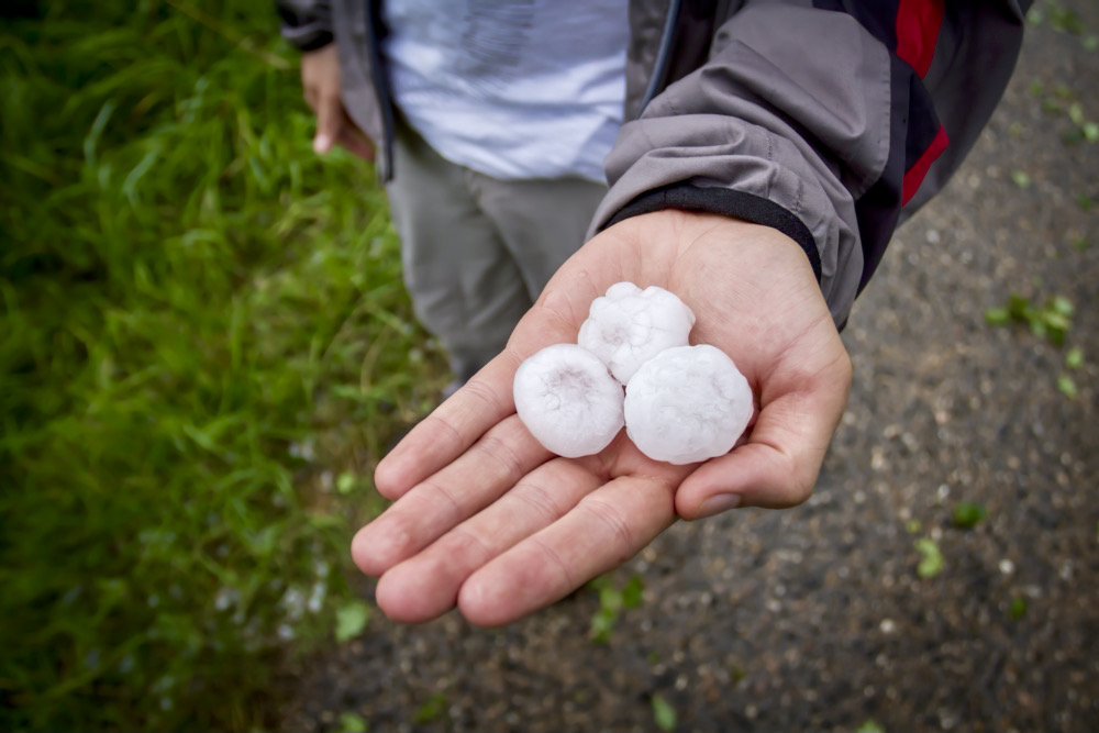 Mixed year for hail claims across Prairies: CCHA