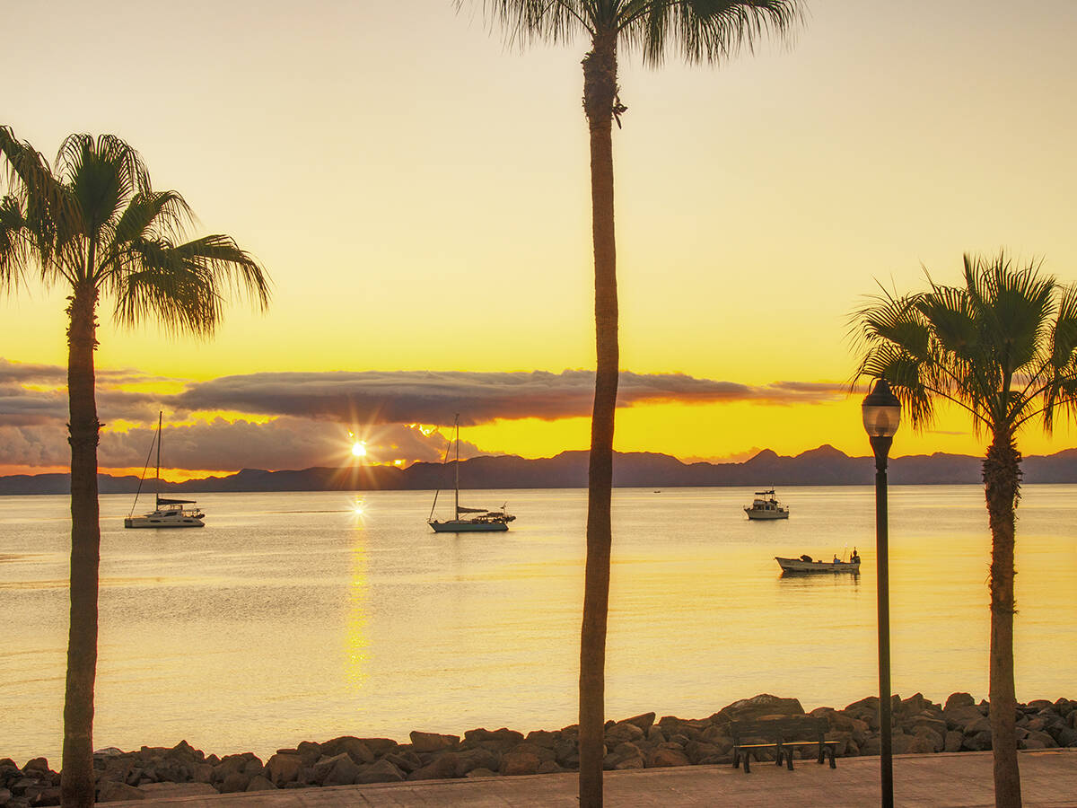 Sunrise on the Loreto waterfront with some palm trees in the foreground and a few boats floating on the water behind.