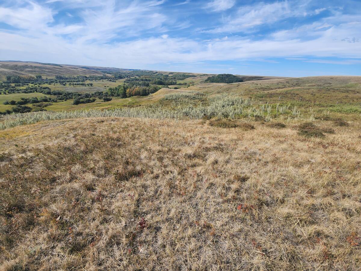 A view of a shallow green valley from the top of a hill where the grass is brown and dry.