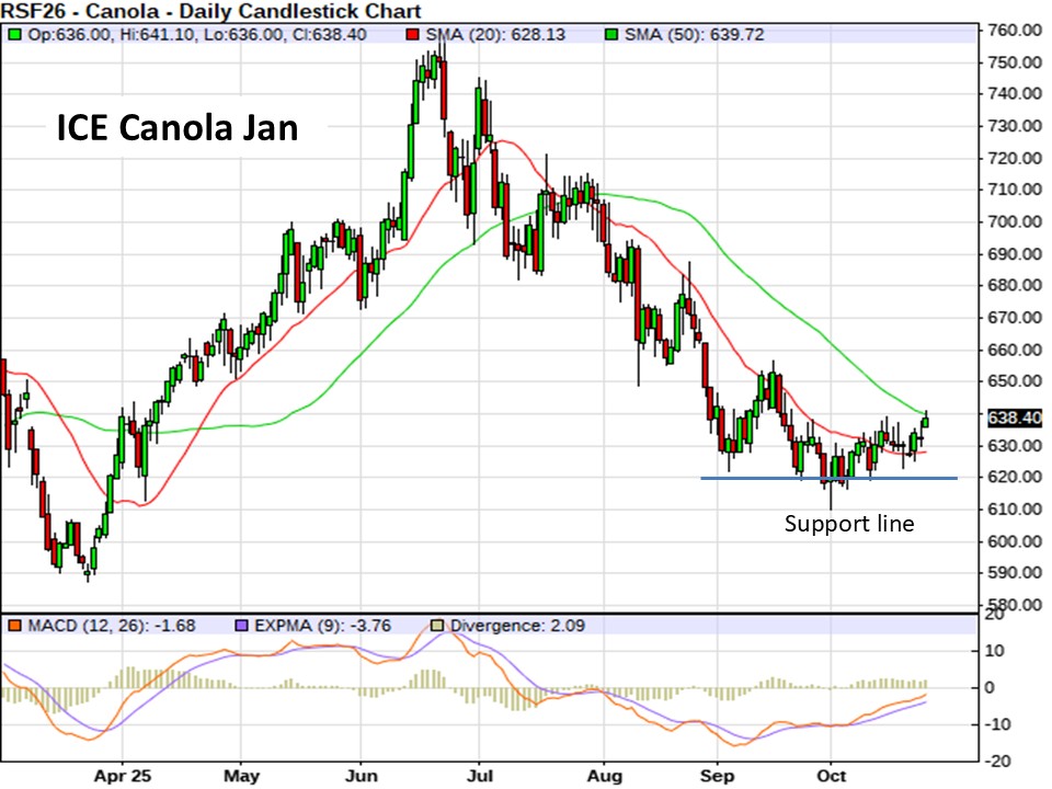 AM Market Report – October 27, 2025