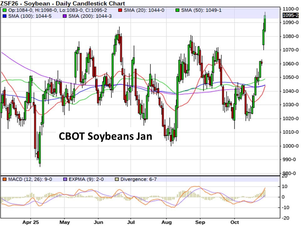 AM Market Report – October 28, 2025