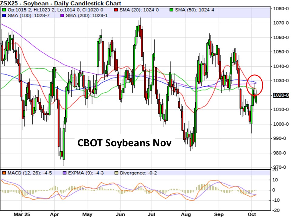 AM Market Report – October 6, 2025