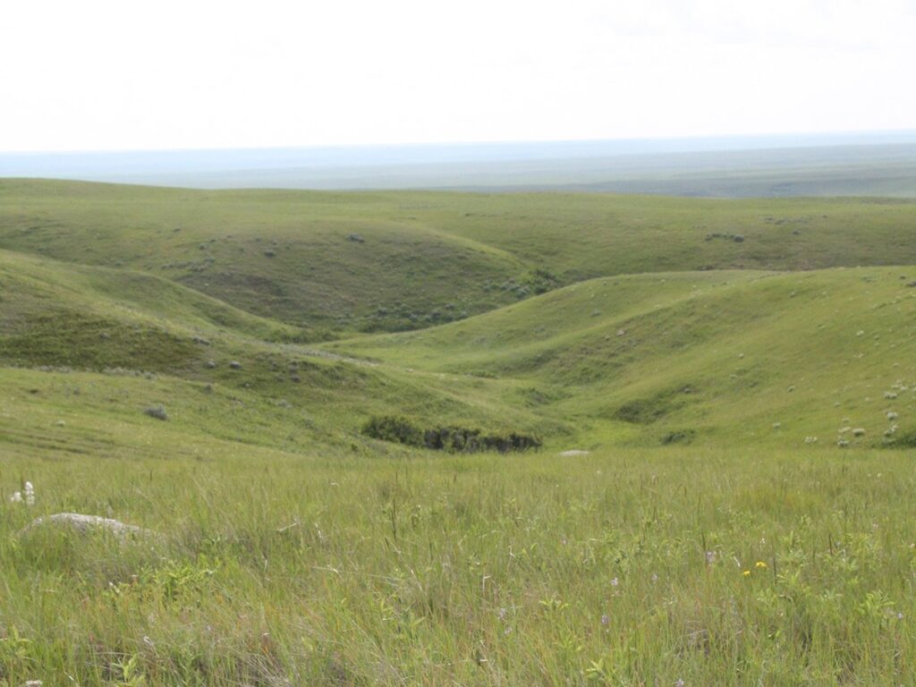 Looking into a lush green valley on a slightly overcast day.