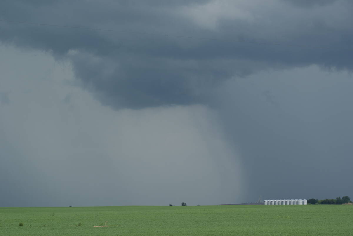 Dark storm clouds are overhead, and it's obviously pouring in the distance with a lush green field in between.