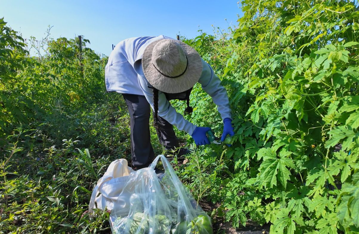 Photo: Tigerstrawberry/Getty Images Plus
