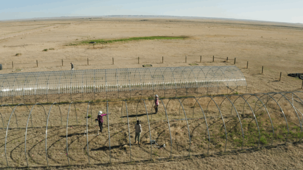 Prolonged drought causes unprecedented productivity loss: Study