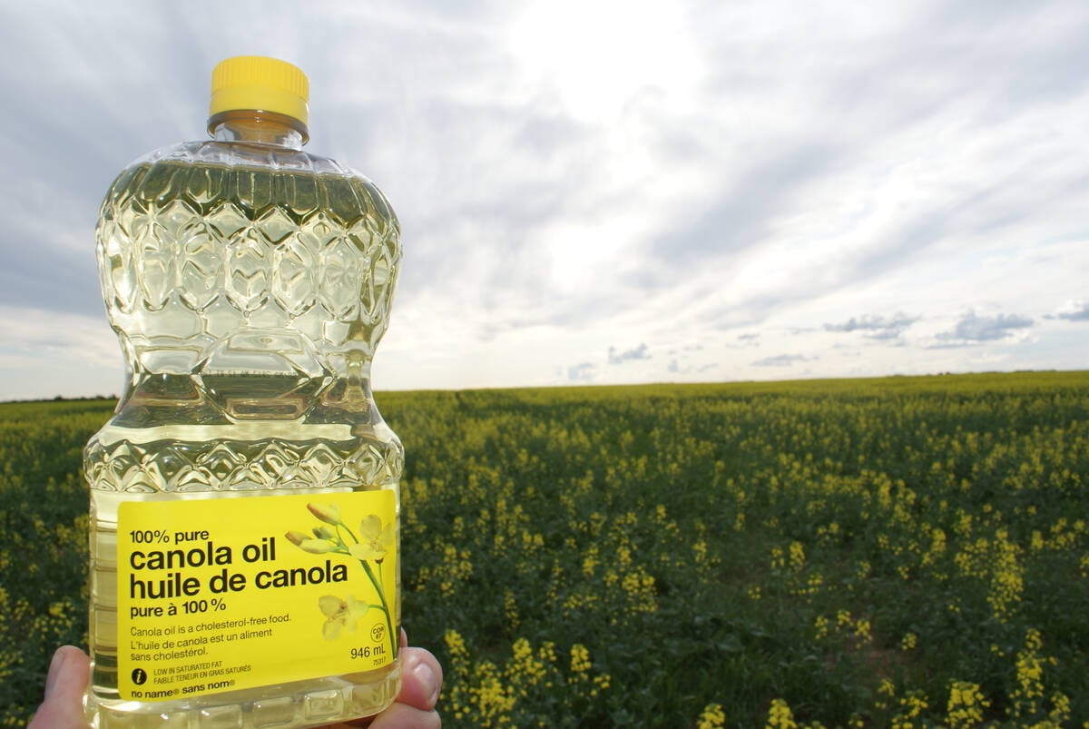 Bottle of canola oil in a field of canola.