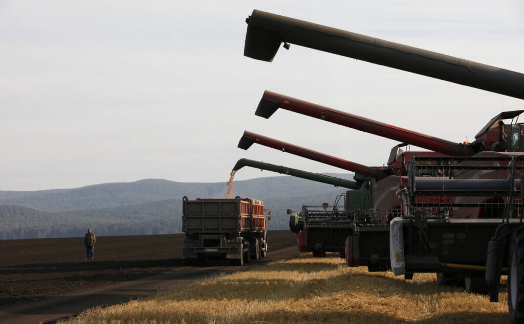 A lineup of four combines wait their turn to unload their harvested crop into a waiting grain truck in Russia.