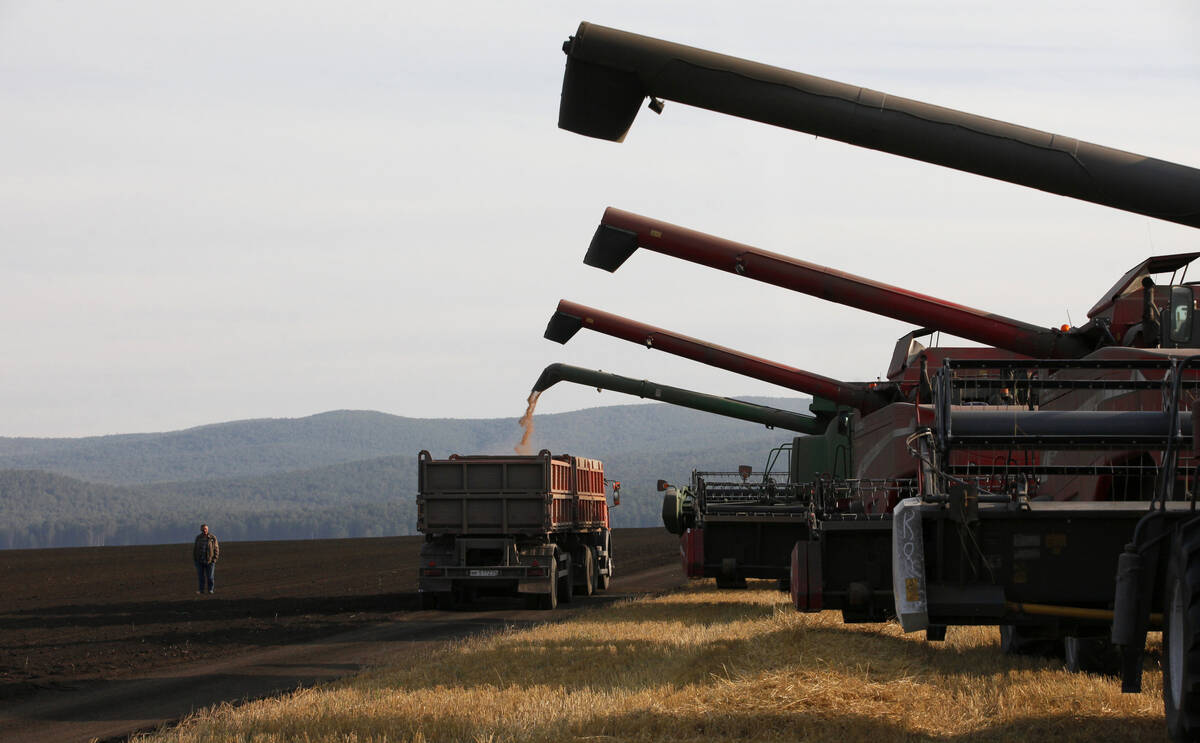A lineup of four combines wait their turn to unload their harvested crop into a waiting grain truck in Russia.