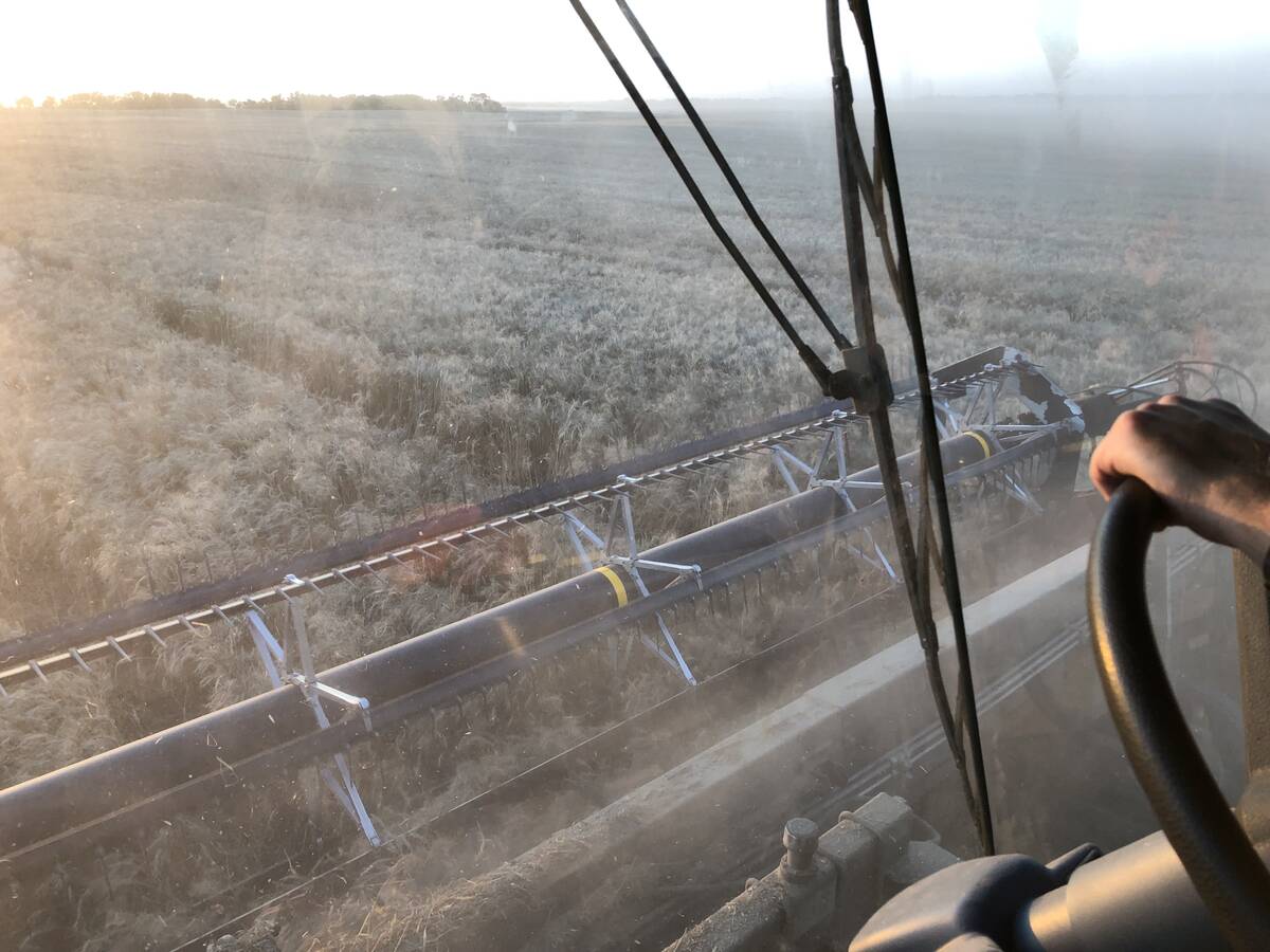 The view from the cab of a combine as a wheat crop is straight cut near Binscarth, Manitoba on September 25, 2025.