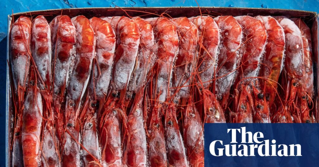 ‘Radioactive’ shrimp crisis: Indonesia grapples with contaminated industrial zone | Food safety