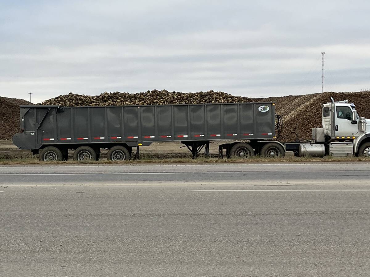 A truck loaded with sugar beets sits parked just off the highway.