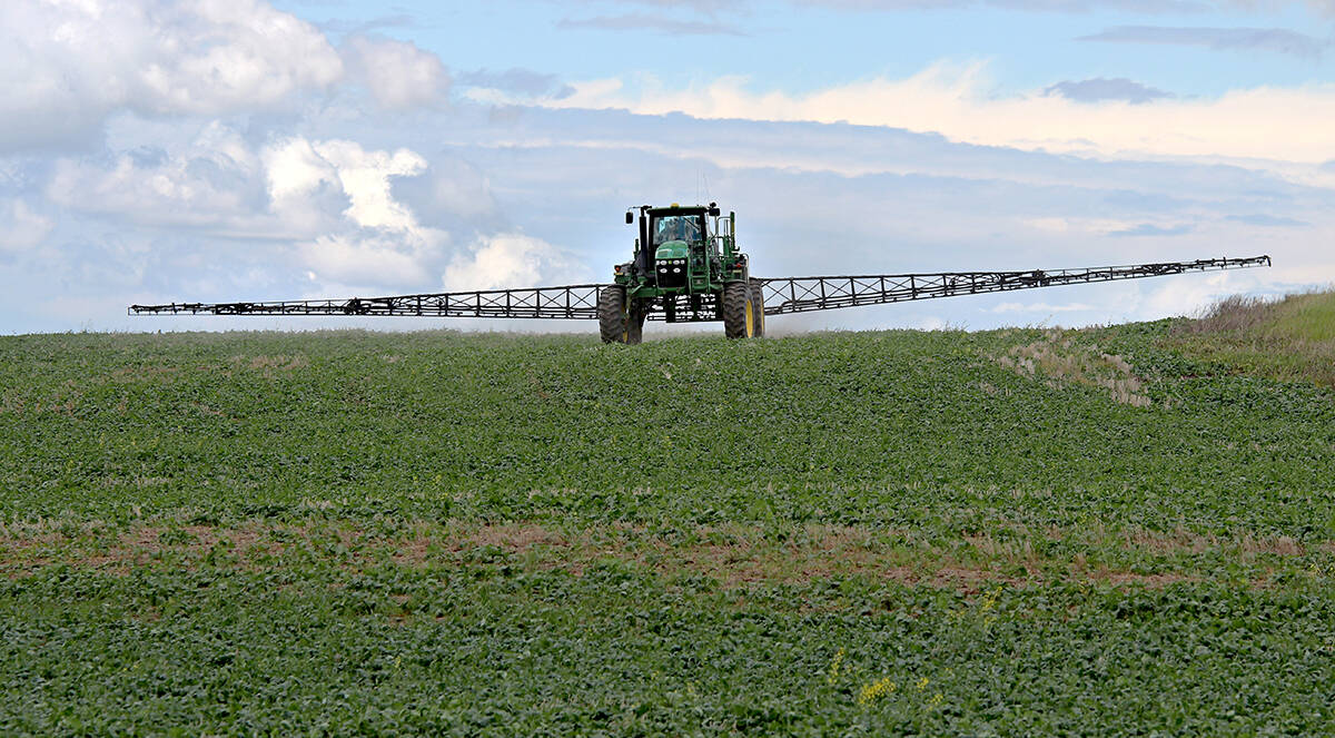 A high-clearance sprayer sprays a canola crop on a sunny day with some clouds in the background.
