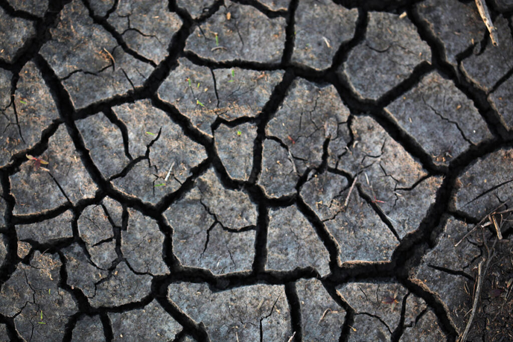 A close-up of the cracks that have formed in hard, dry soil.