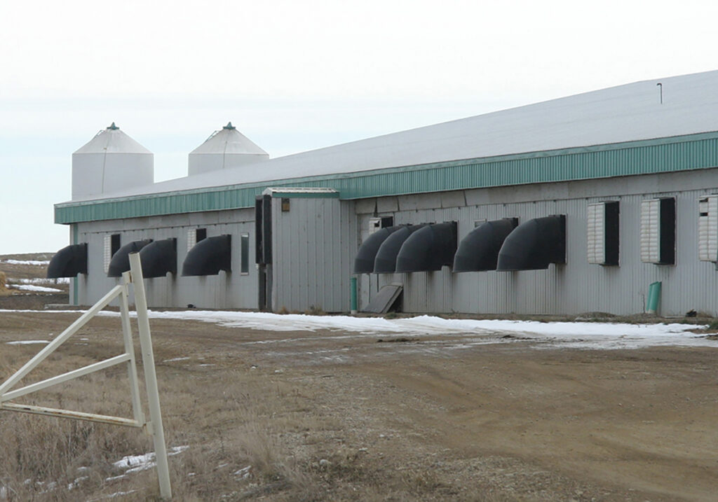 An exterior view of a hog barn in Manitoba. A small amount of snow is on the ground right next to the barn wall where it wouldn