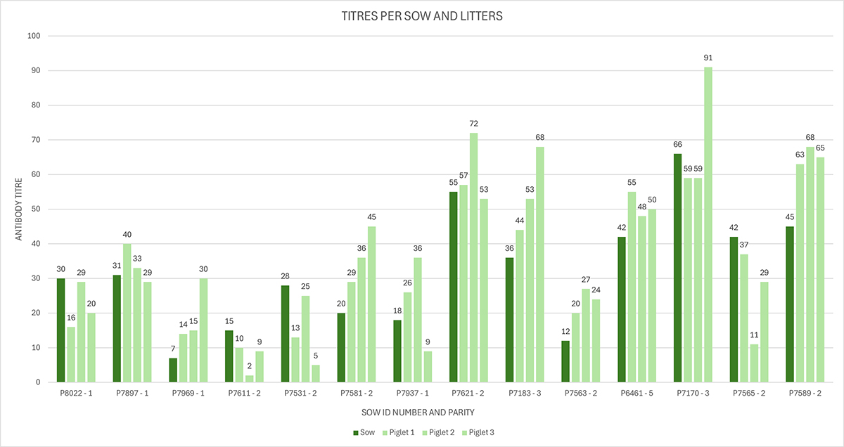 A bar chart entitled, "Titres per sow and litters," which allows researchers to determine if there has been adequate colostrum intake.
