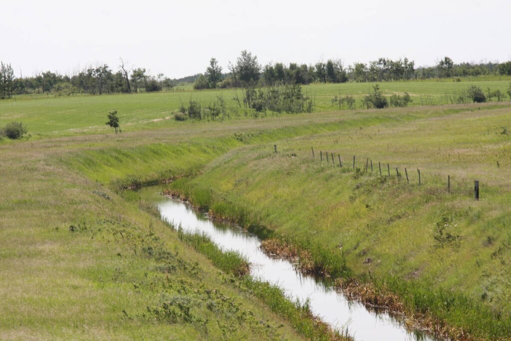 A drainage ditch runs through a lush green field.