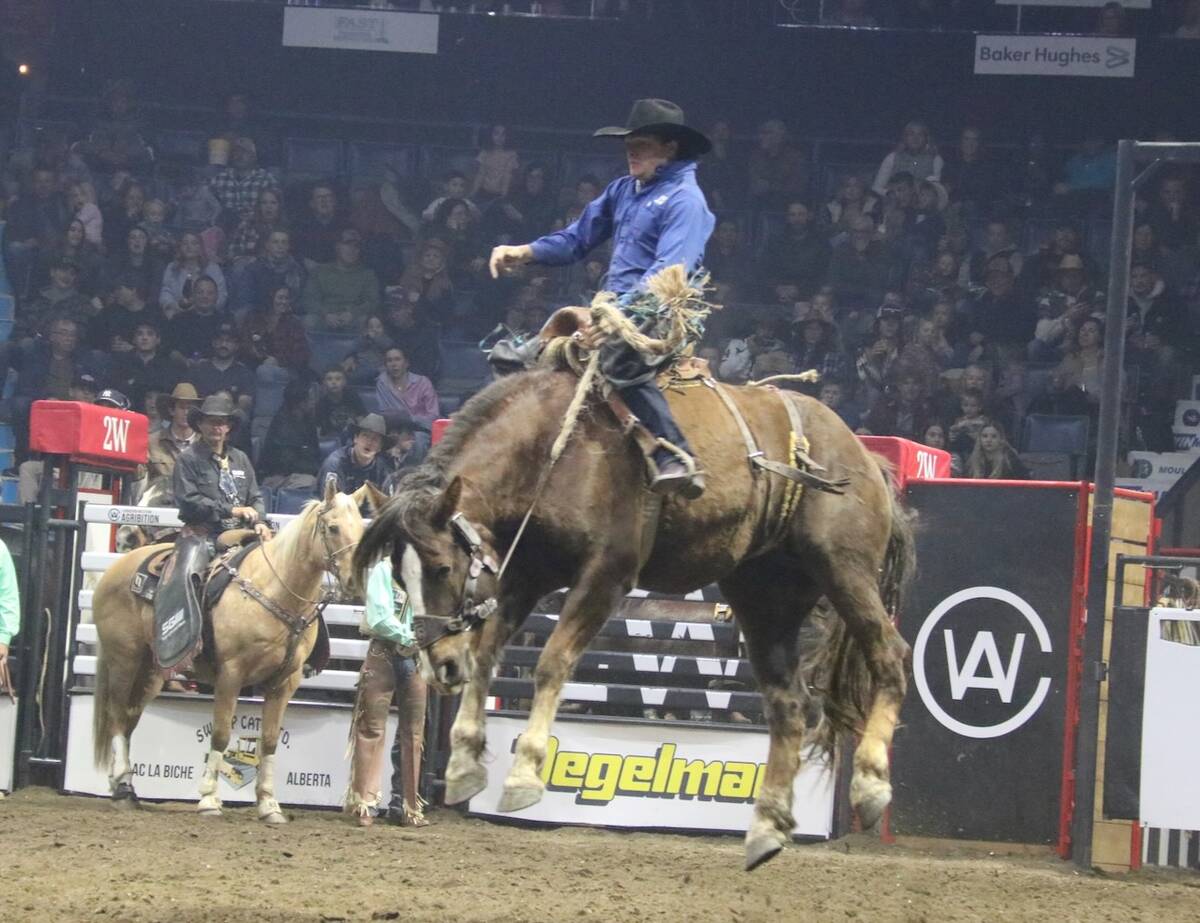 A man in a blue shirt and a black cowboy hat sits on the back of a bucking horse as the horse jumps into the air with all four of its feet off the ground.