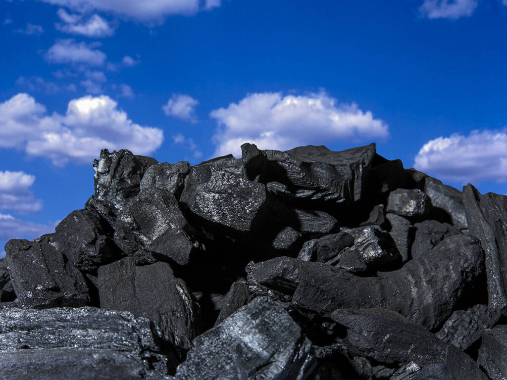 Conceptual image of biochar (black) used to enhance soil quality and promote plant growth (green shoot). Biochar is a form of charcoal (mostly carbon) produced by heating organic matter in the absence of oxygen, a process called pyrolysis. This avoids the production of carbon dioxide and locks up the carbon in the biochar. In this form, the carbon can remain in soils for thousands of years, increasing the soil fertility and acting as a carbon sink. This sequestration of the carbon helps to meet targets to reduce emission of carbon dioxide, a cause of climate change.No use: BBC, Pearson, Oxford University Press, Springer Nature, Dorling Kindersley, Cambridge University Press & Assessment, New Scientist, Bonnier Publications, John Wiley & Sons, The Lancet, BMJ