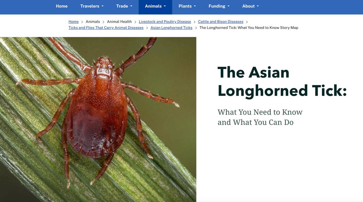 The U.S. Department of Agriculture is monitoring the spread of the Asian Longhorned tick, a pest that was first detected in 2017 in the U.S., on a sheep farm in New Jersey | USDA screenshot