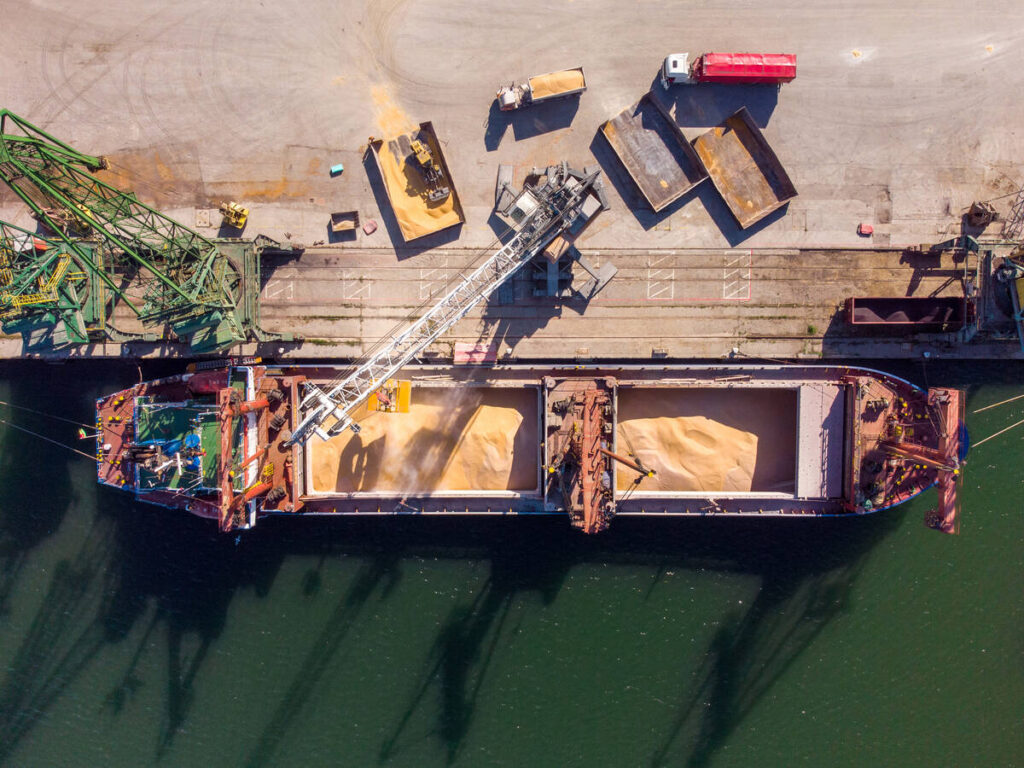 A bulk grain carrier ship is loaded in a port. Photo: sandsun/Getty Images Plus