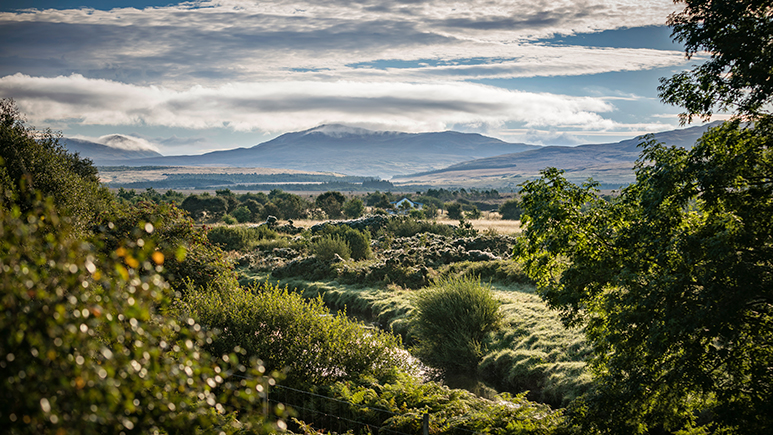 Diageo invests £5m in Scotland peatland restoration project
